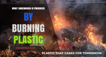 Burning Plastics: Understanding the Carcinogenic Risks