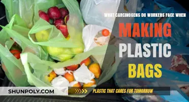 Hidden Dangers: Carcinogens Workers Encounter in Plastic Bag Production