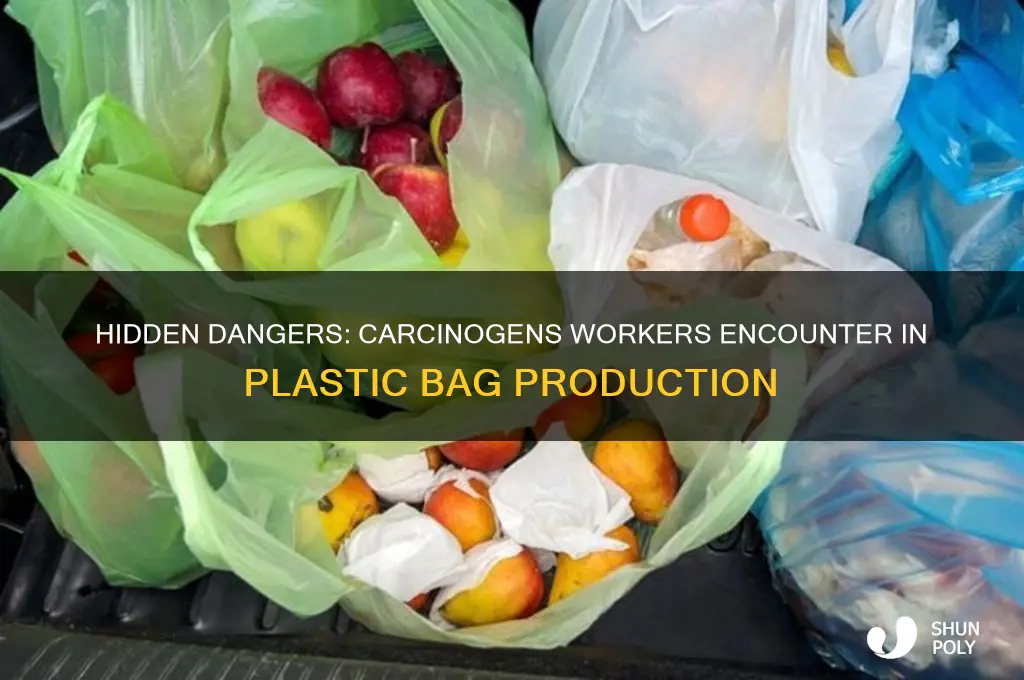 what carcinogens do workers face when making plastic bags