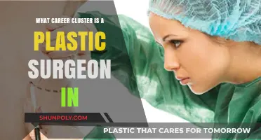 Exploring the Career Cluster for Plastic Surgeons: A Comprehensive Guide