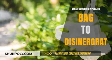 Why Did My Plastic Bag Disintegrate? Uncovering the Surprising Causes