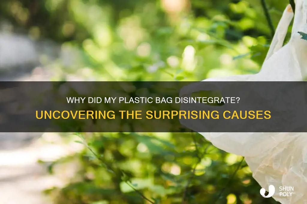 what caused my plastic bag to disinergrat