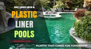 Green Algae in Plastic Liner Pools: Causes and Prevention