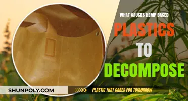 Hemp-Based Plastics: Decomposition and its Causes