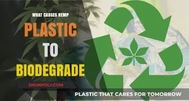 How Hemp Plastic Biodegrades: The Science Explained