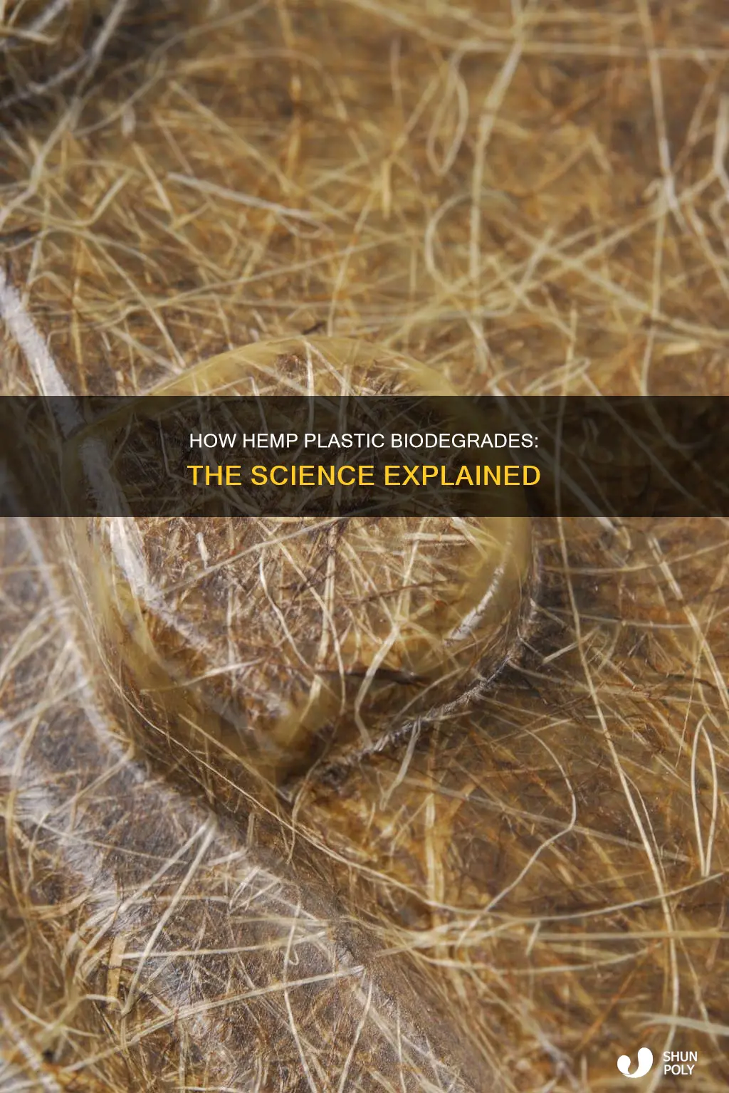 what causes hemp plastic to biodegrade