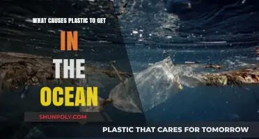 Unraveling the Sources: How Plastic Ends Up in Our Oceans