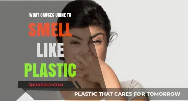 Why Does Urine Sometimes Smell Like Plastic?