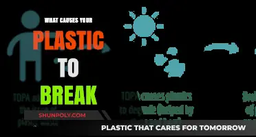 Plastic Degradation: Understanding the Science Behind It