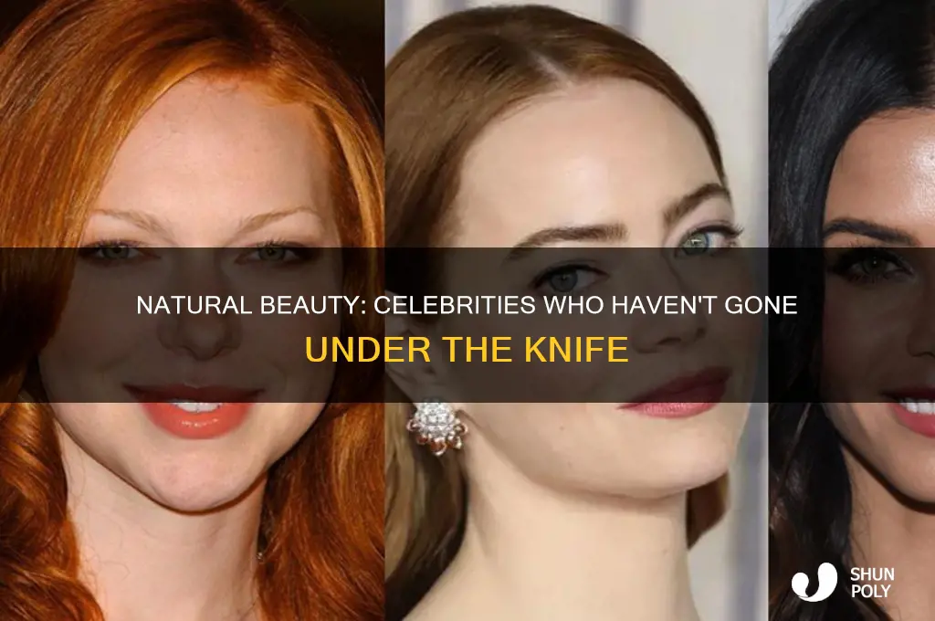 what celebrities don
