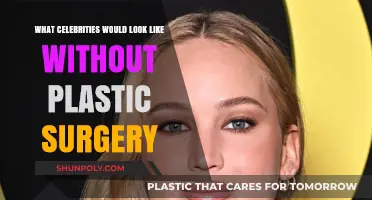 Unveiling Natural Beauty: Celebrities Without Plastic Surgery Transformations