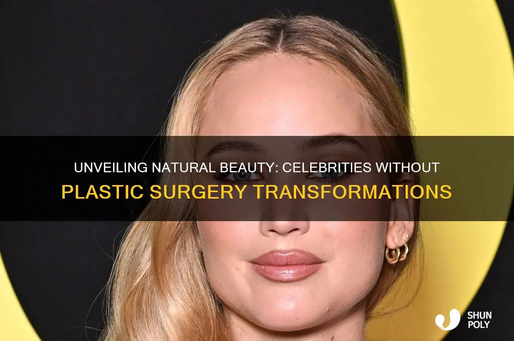 what celebrities would look like without plastic surgery
