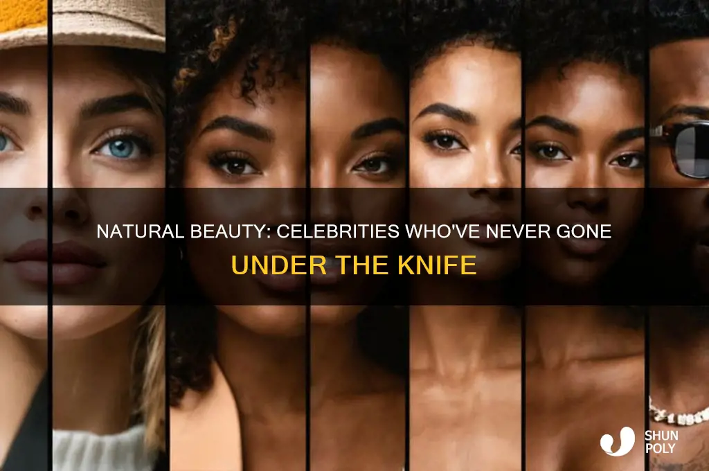 what celebrity never had plastic surgery
