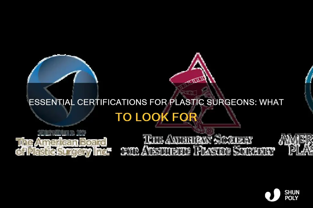 what certification should a plastic surgeon have
