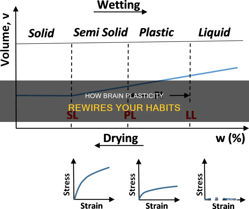 what characteristic is responsible for plasticity