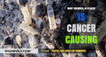 Harmful Plastics: Cancer-Causing Chemicals in Your Home