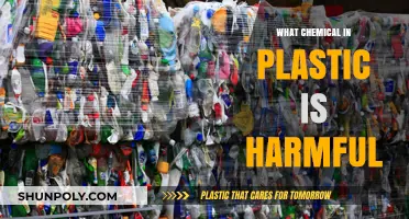 Harmful Plastics: Toxic Chemicals in Everyday Items