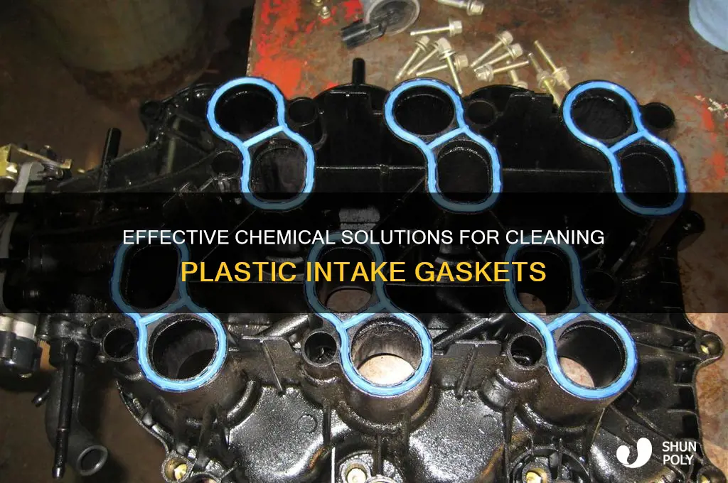 what chemical to clean plastic intake for gasket