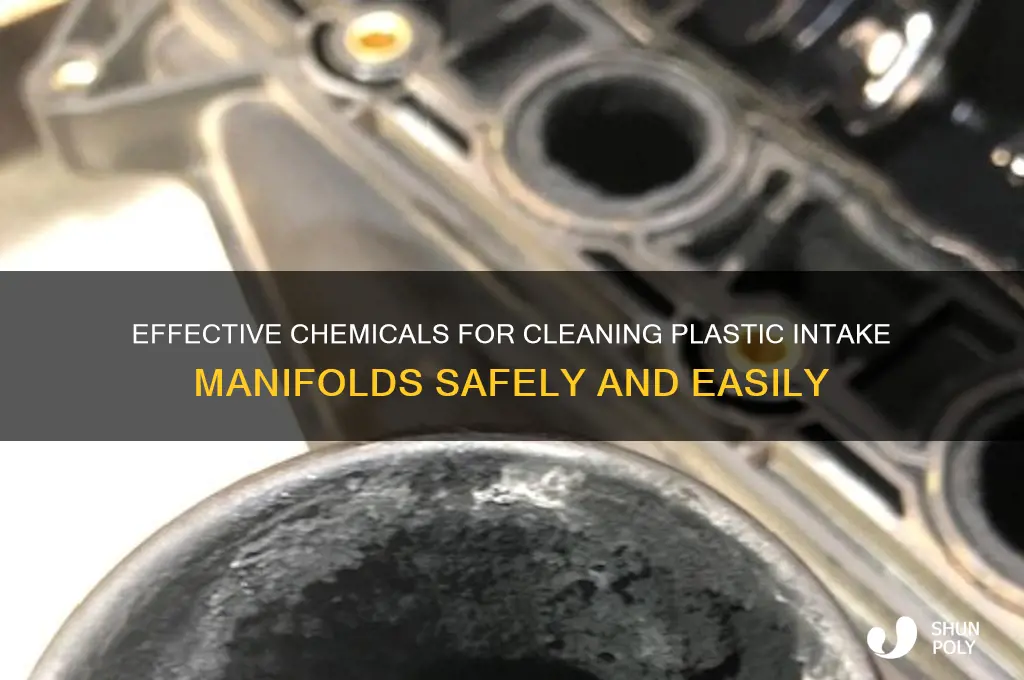 what chemical to clean plastic intake