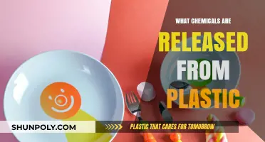 Toxic Truth: Chemicals in Plastic Revealed