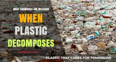 Plastic Decomposition: Understanding the Chemical Fallout