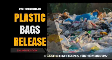 Toxic Truth: Unveiling Harmful Chemicals Released by Plastic Bags