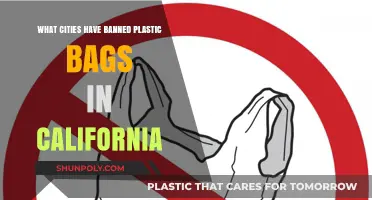 California's Plastic Bag Ban: Which Cities Have Gone Green?