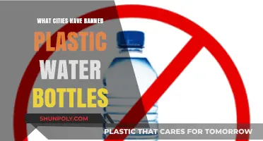 Cities Leading the Charge: Banning Plastic Water Bottles for Sustainability