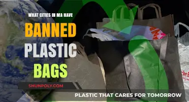 Massachusetts Cities Leading the Way: Banning Plastic Bags for a Greener Future