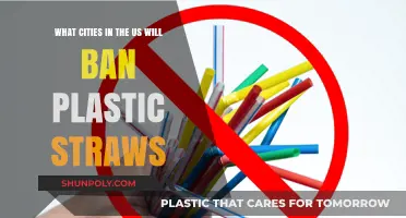 US Cities Taking a Stand: The Movement to Ban Plastic Straws