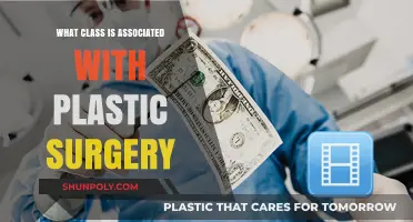Plastic Surgery and Social Class: Exploring the Wealth-Beauty Connection