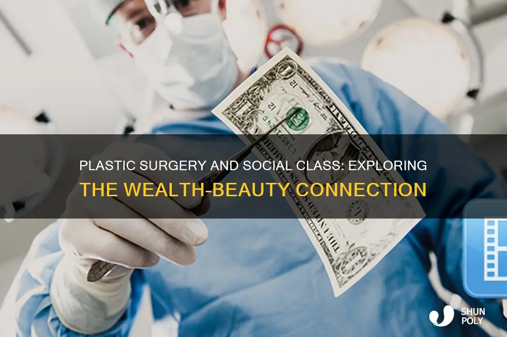 what class is associated with plastic surgery