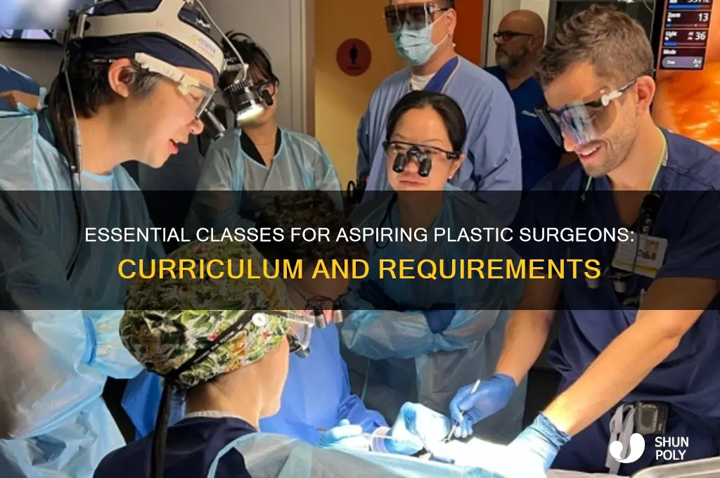 what classes are required for plastic surgery