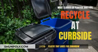 Curbside Plastic Recycling: NYC's Accepted Classes