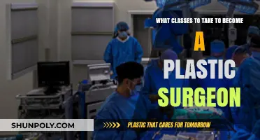 Sculpting Your Career: Essential Classes for Aspiring Plastic Surgeons