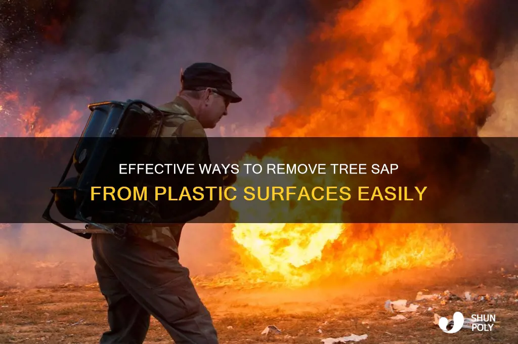 what clean tree sap off plastic