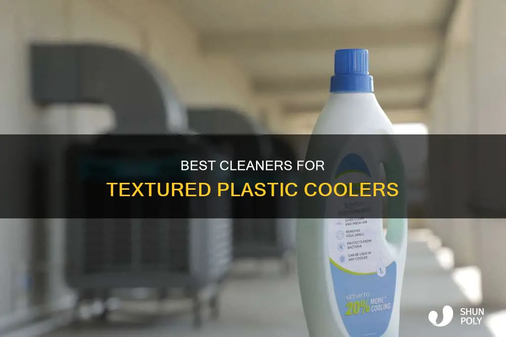 what cleaner for textured plastic cooler
