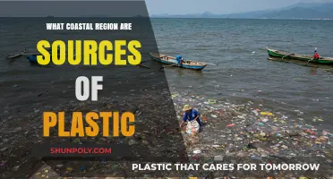 Plastic Pollution: Coastal Regions' Dark Secret