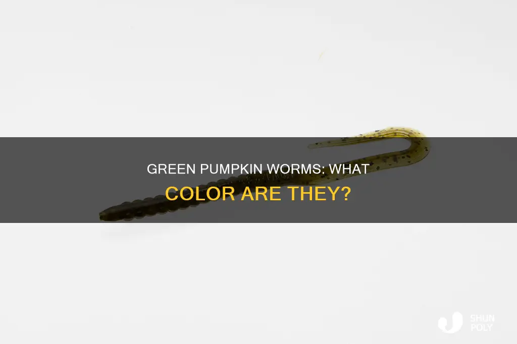 what color is green pumpkin plastic worms