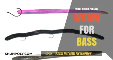 Bass Fishing: Choosing the Right Plastic Worm Color