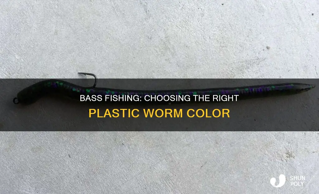 what color plastic worm for bass