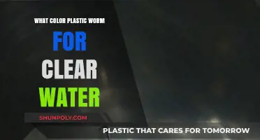 Best Plastic Worm Colors for Clear Water Bass Fishing Success