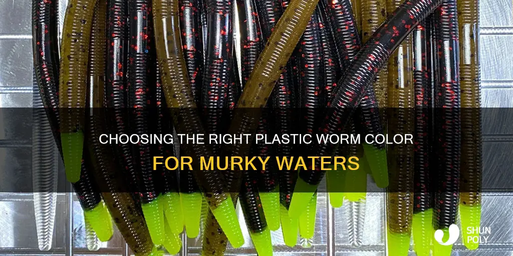 what color plastic worm for murky water