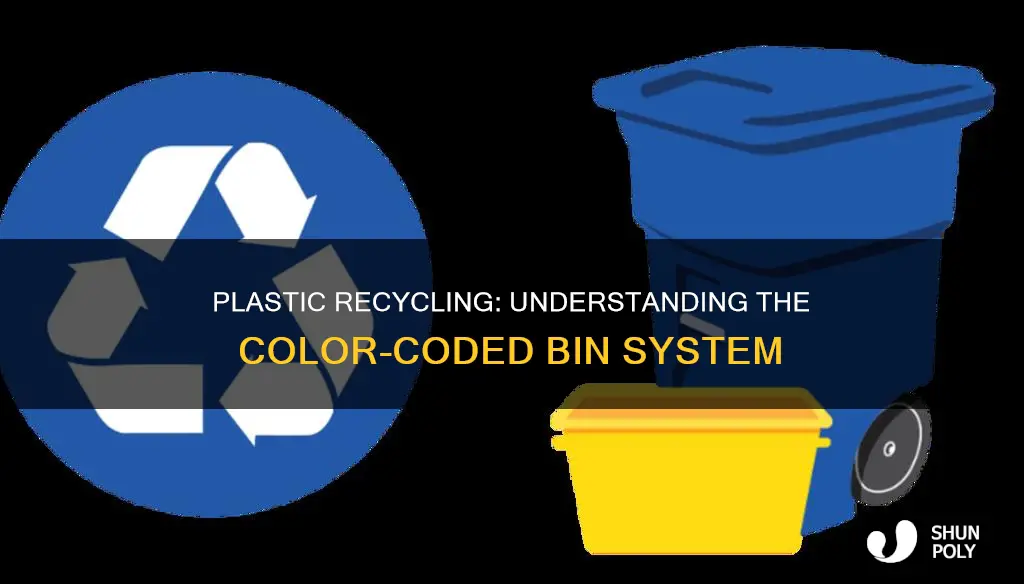 what color recycle bin is for plastic