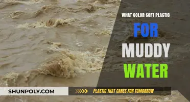 Muddy Water Fishing: Best Soft Plastic Lure Colors