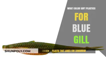Bluegill Fishing: Choosing the Right Soft Plastic Colors