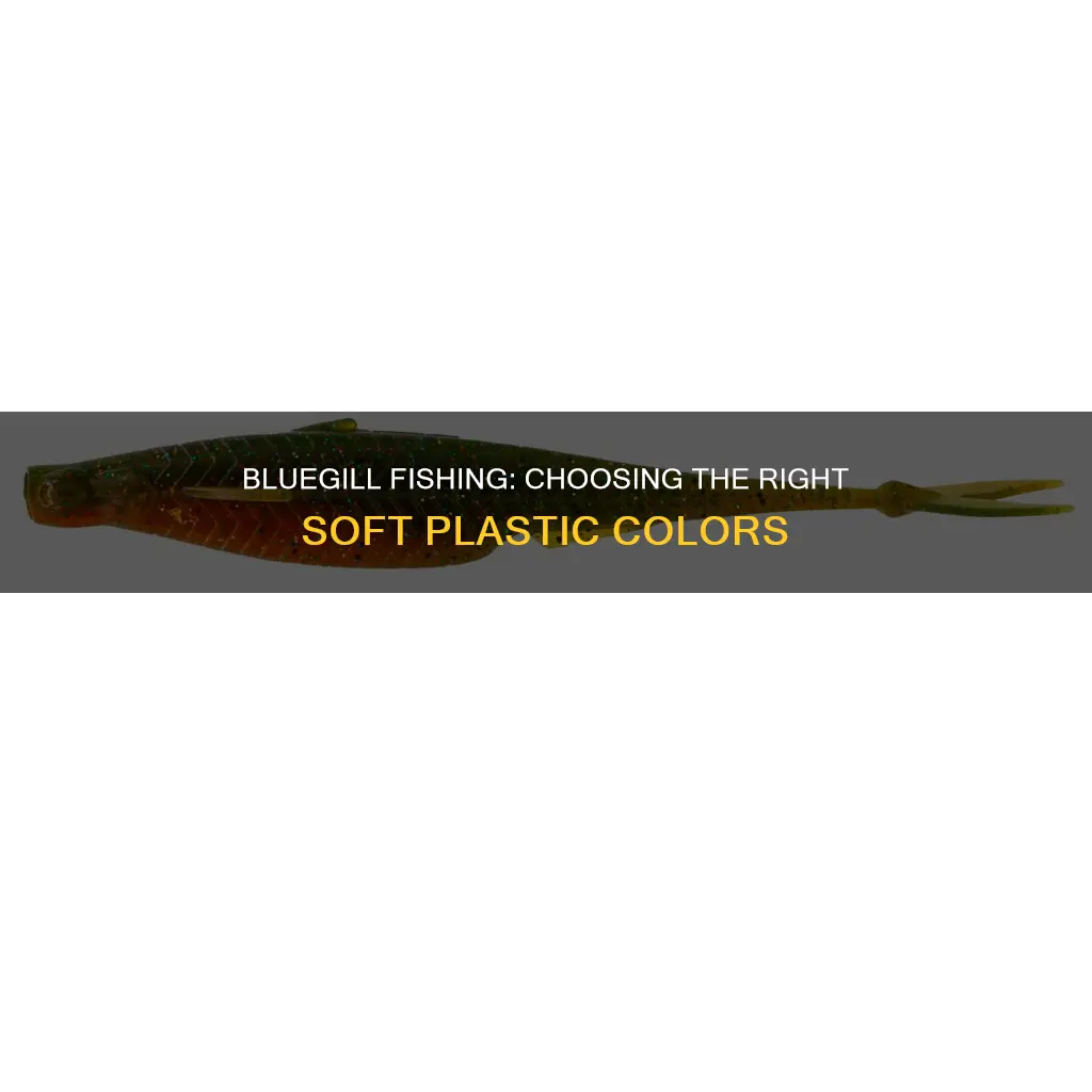what color soft plastics for blue gill