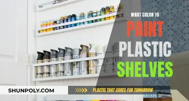 Plastic Shelves: Choosing the Right Paint Color