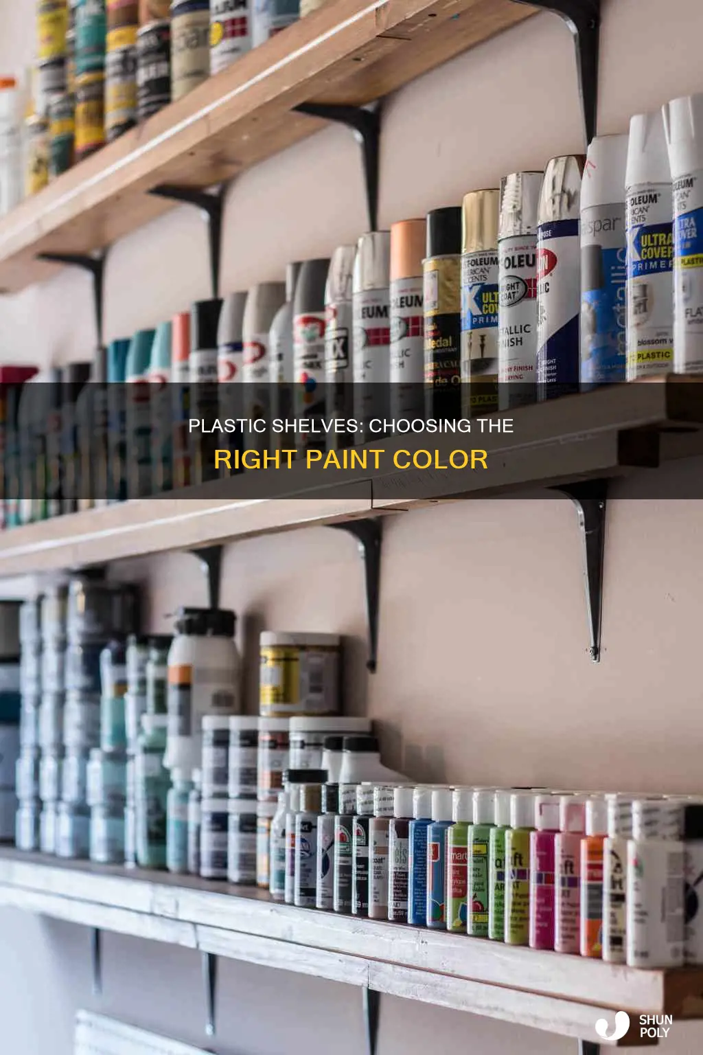 what color to paint plastic shelves