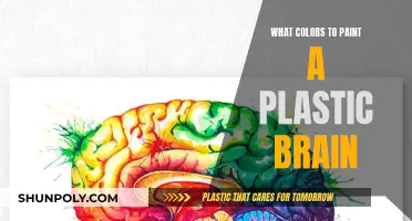 Choosing Colors to Paint a Plastic Brain